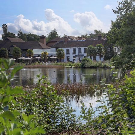 Frensham Pond Country House Hotel & Spa Farnham  Esterno foto