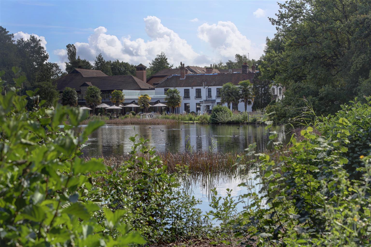 Frensham Pond Country House Hotel & Spa Farnham  Esterno foto